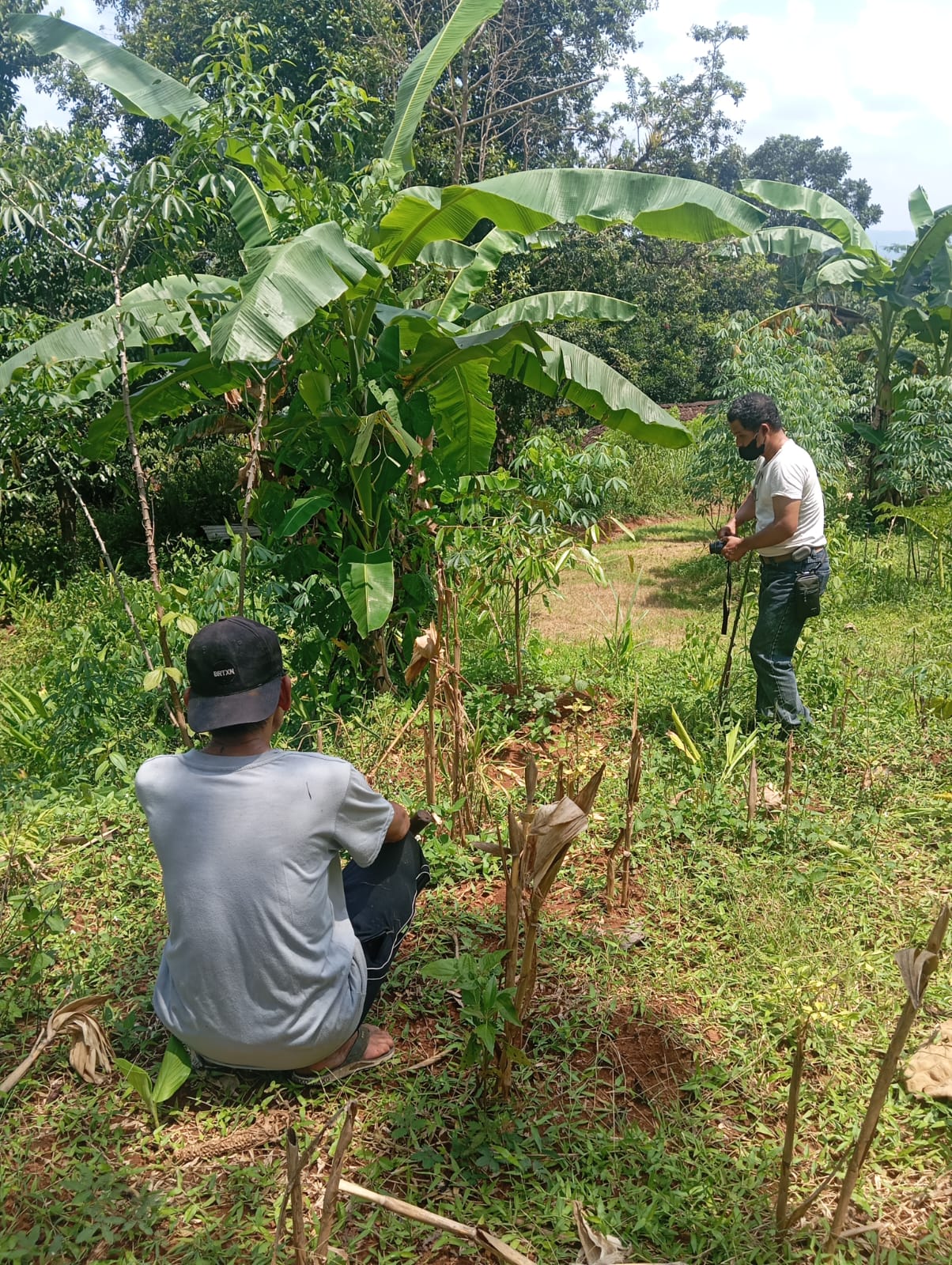 Apikri Conducts Replanting Monitoring in Gunungkidul Village